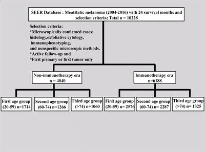 Age-Based Disparities in Metastatic Melanoma Patients Treated in the <mark class="highlighted">Immune Checkpoint Inhibitors (ICI)</mark> Versus Non-ICI Era: A Population-Based Study